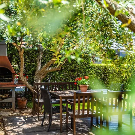 Apartment Oliveto - Calming Sea View