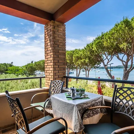 Oliveto - Calming Sea View