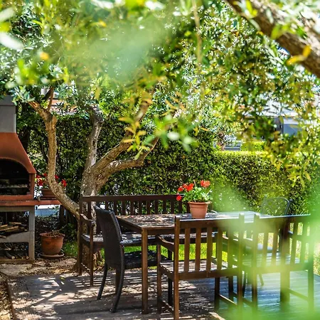 Apartman Oliveto - Calming Sea View *